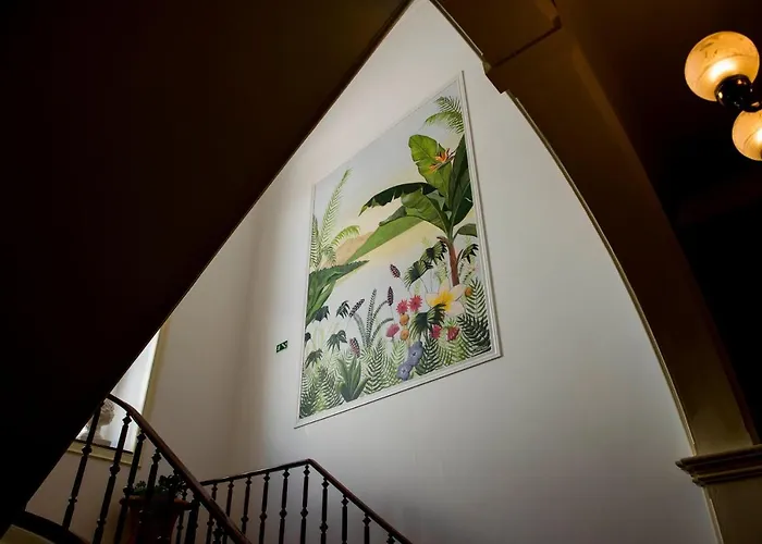 La Palma Auberge de jeunesse *